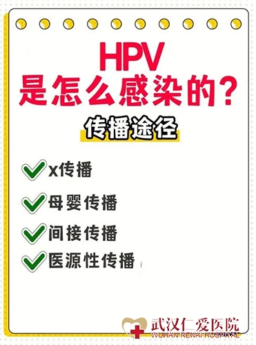 HPV病毒主要的两种传播方式 HPV病毒主要的两种传播方式