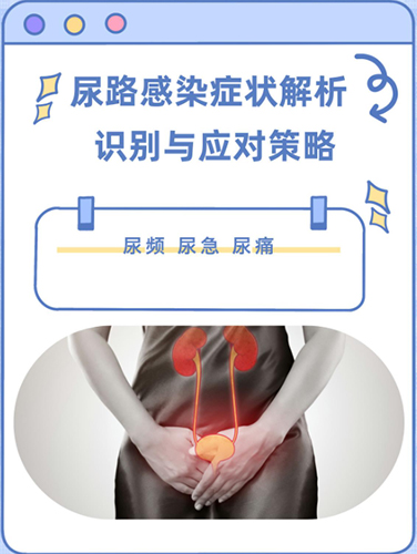 女性尿路感染有什么症状